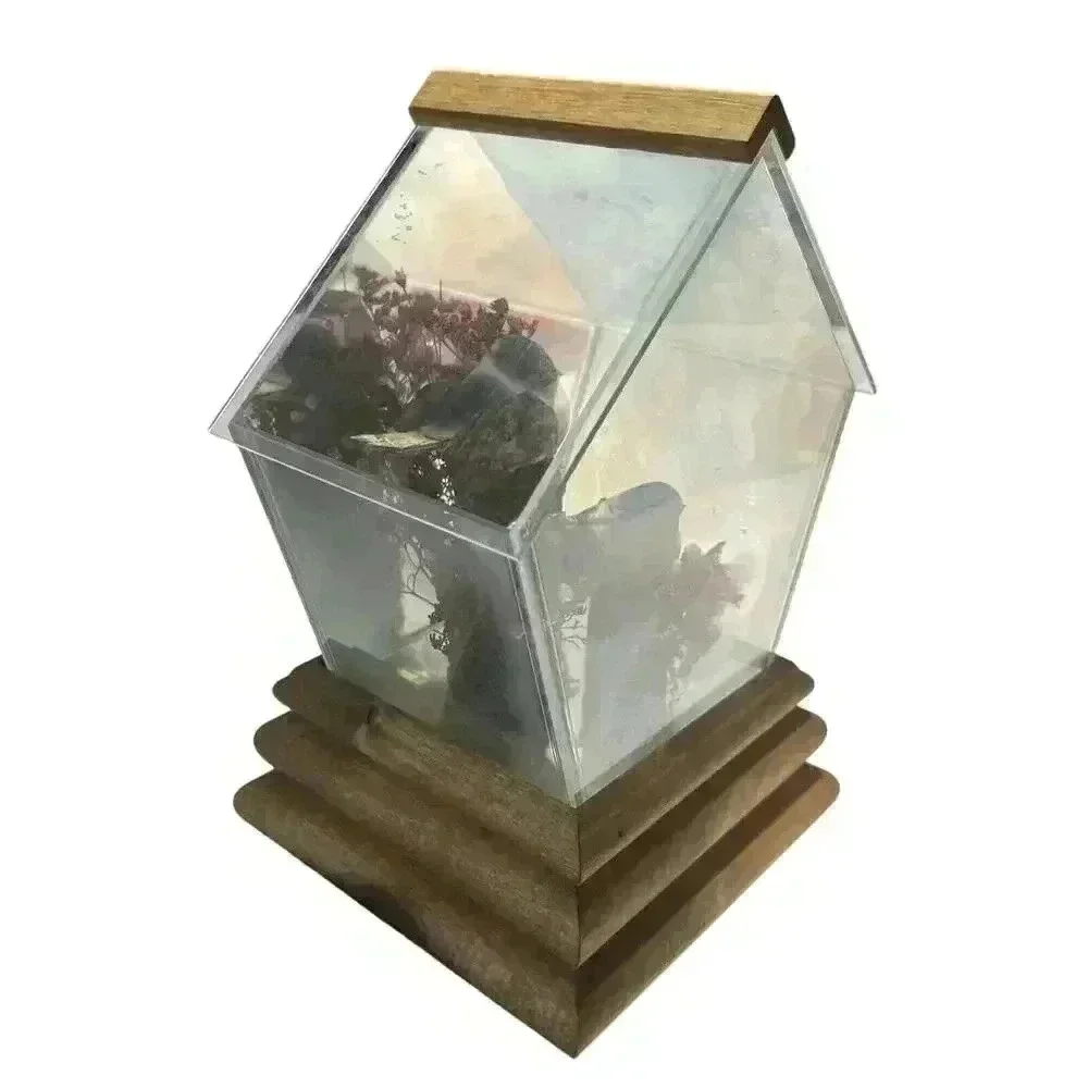 Mushroom Birds From Rare Mushrooms Music Box Vintage